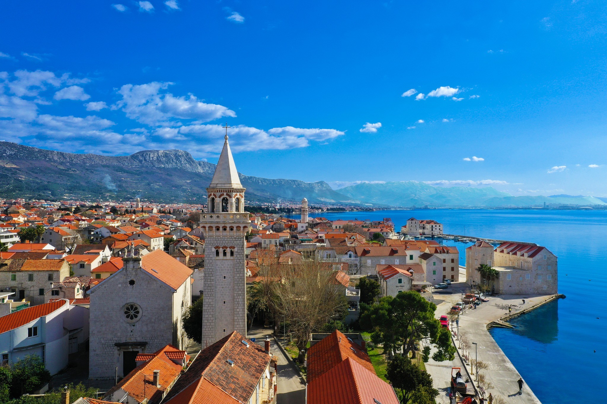 490771311 1235571785241850 1138029898066311596 N