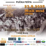 Festa Luksic