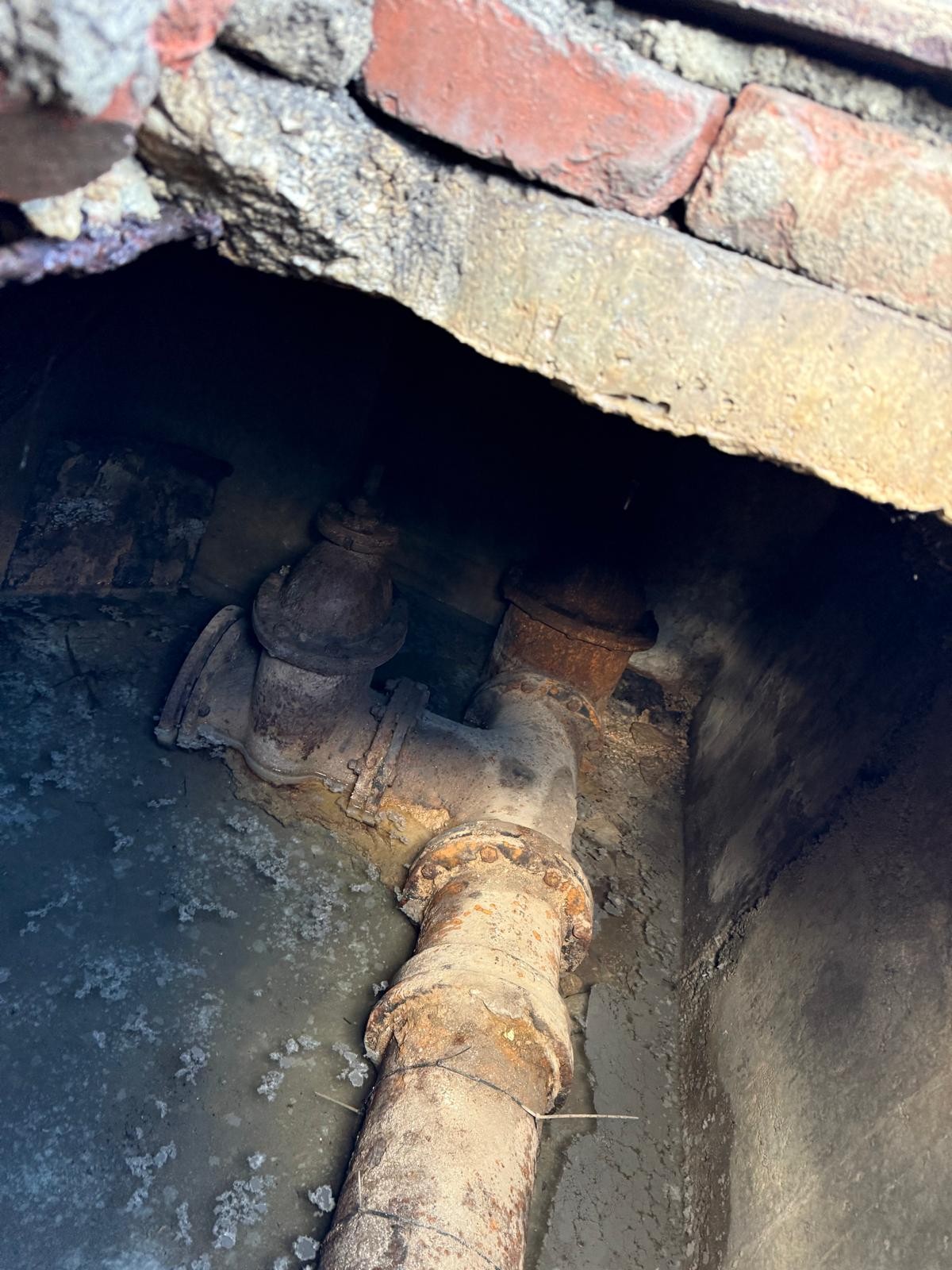 Photo 2025 10 15 09 49 06