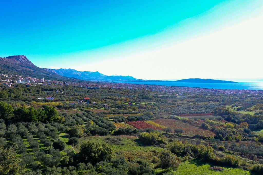 Poljopirivreda ilustracija