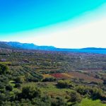 Poljopirivreda ilustracija